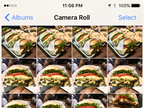 burger camera gallery